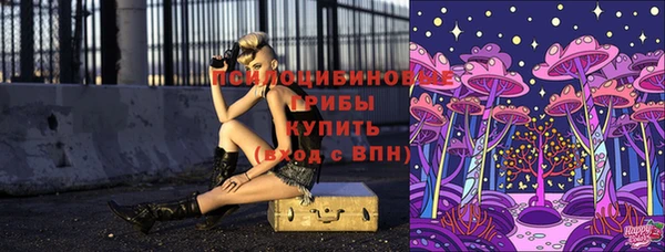 синтетический гашиш Заводоуковск
