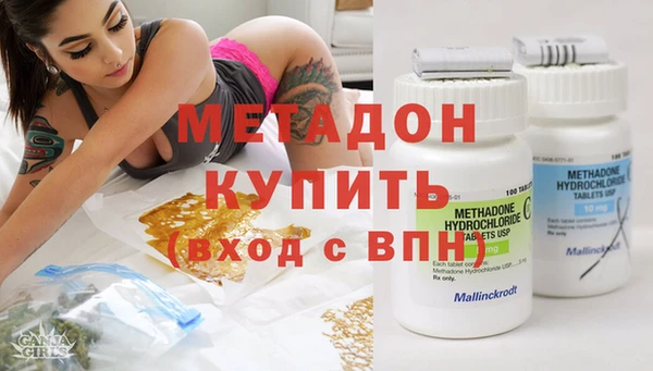 прущие грибы Бежецк