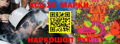 ПСИЛОЦИБИНОВЫЕ ГРИБЫ Вязники