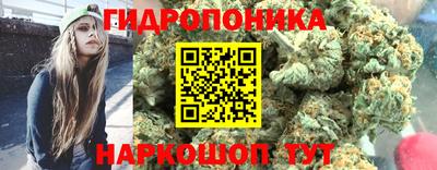 прущие грибы Владимир
