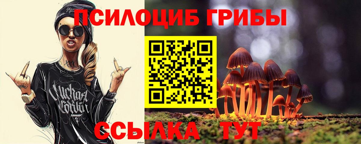 Псилоцибиновые грибы мицелий  Вход с VPN  закладка  Галлюциногенные грибы прущие грибы  Канск 